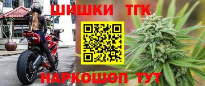 хмурый Кингисепп