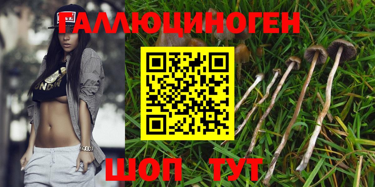 Галлюциногенные грибы MAGIC MUSHROOMS Югорск