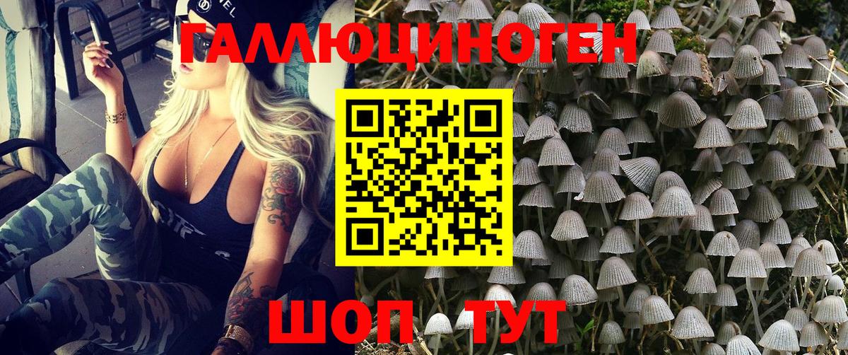 Югорск  Галлюциногенные грибы Psilocybe  Вход с VPN 